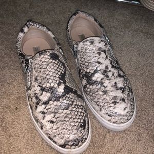 Snakeskin Steve Madden